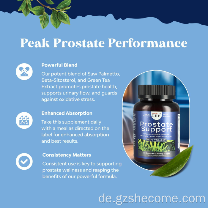 Entwürfe für die Gesundheit von Palmetto unterstützen Prostatagesundheit